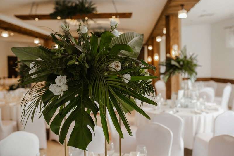 wesele zielone dekoracje greenery monstera palma egzotyka inspiracje wesele w Krakowie ślub w Krakowie wesele w Krakowie wedding planner Kraków konsultant ślubny Kraków wedding planner Małopolska konsultant ślubny Małopolska Ceremony Concept 